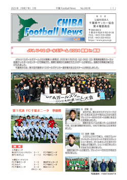 No.300号